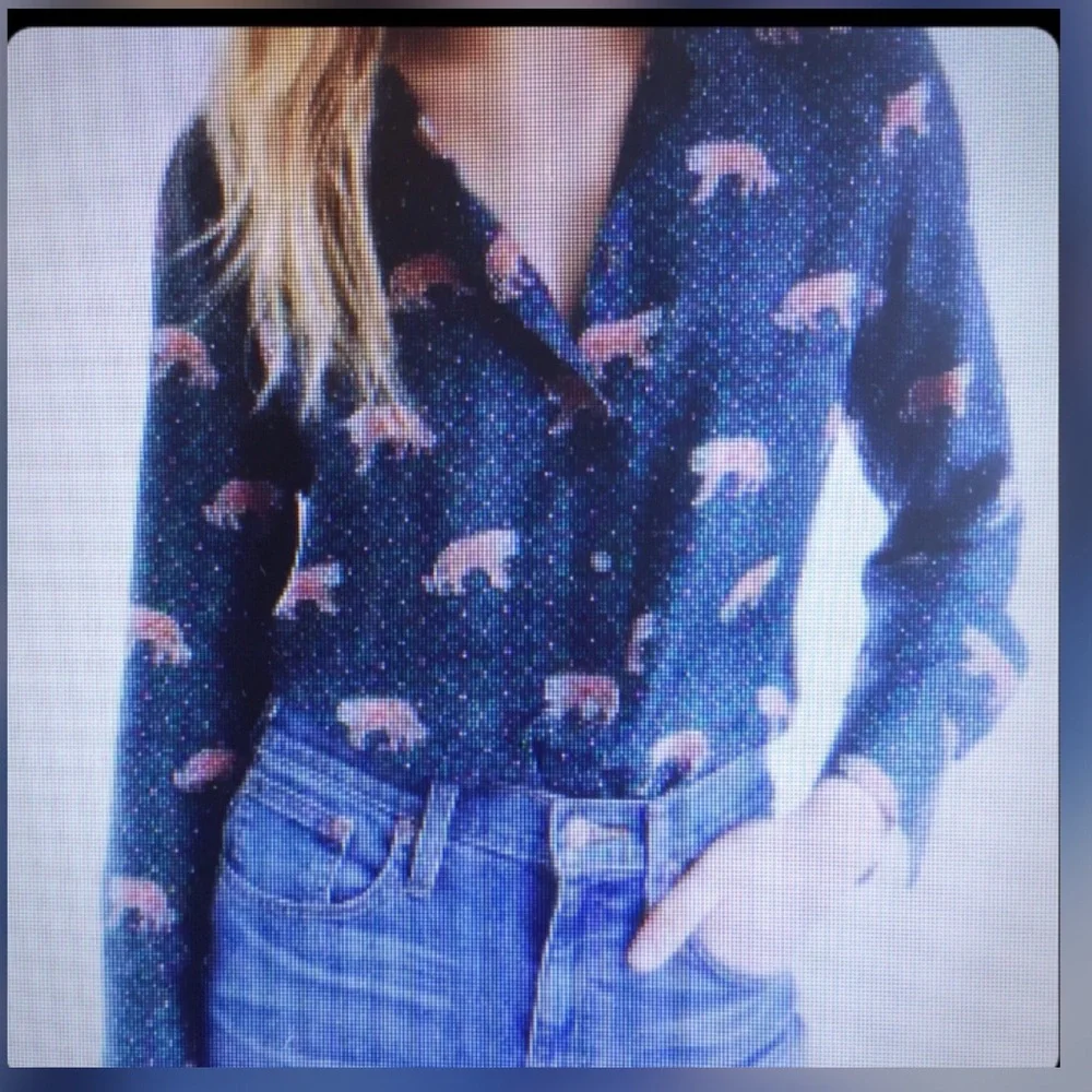 J. Crew Blue Printed Button-Up Blouse with Tan Accent